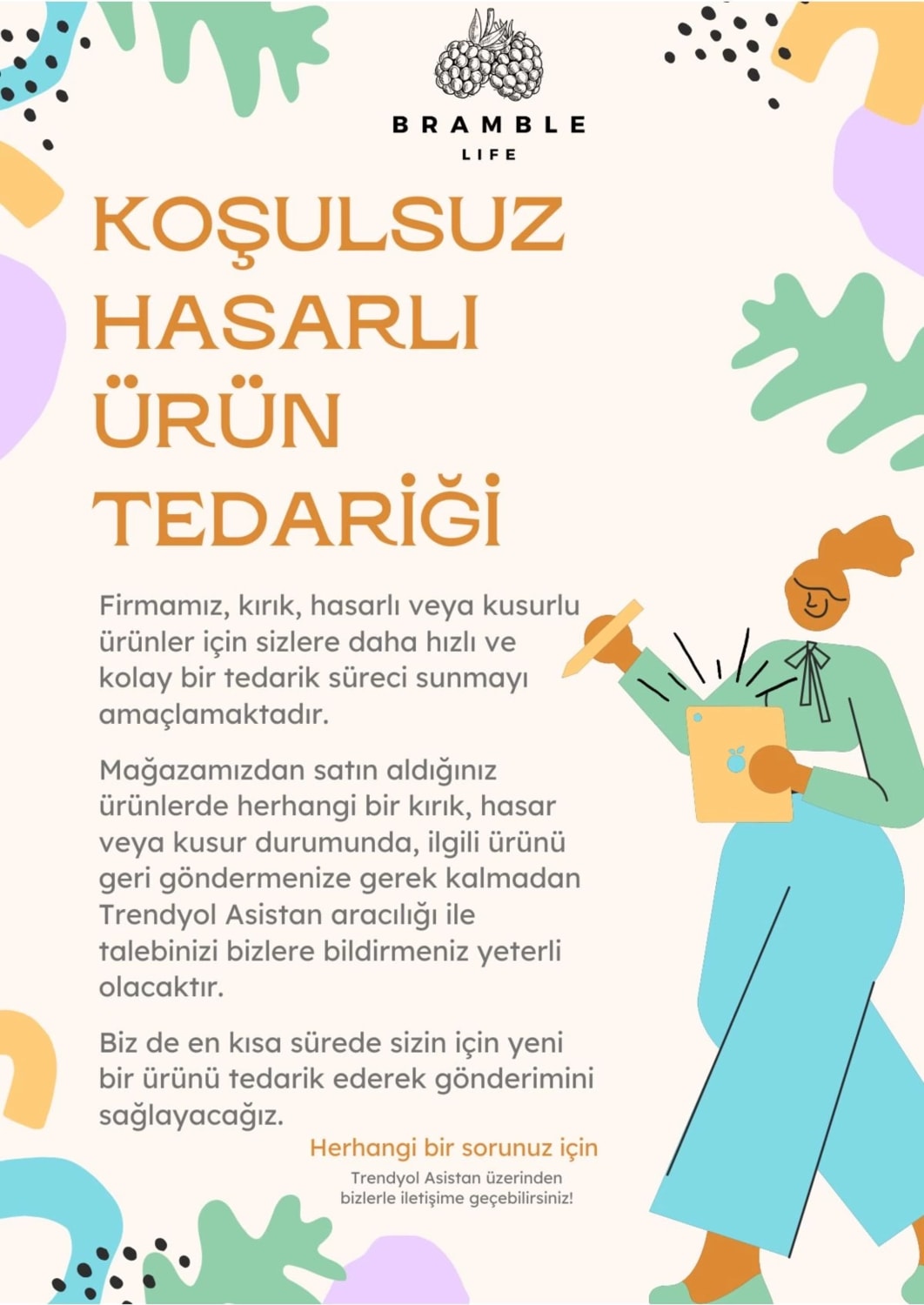 2'li Yapışkanlı Evye Altı ve Dolap Içi Düzenleyici Organizer Raf Seti