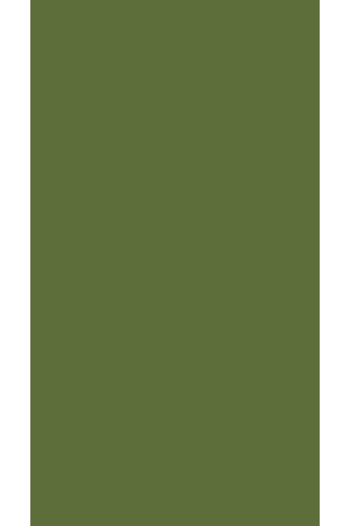 Jotun Aqua Pro RAL 6025 Farngrün Metal Boyası 2,25 LT