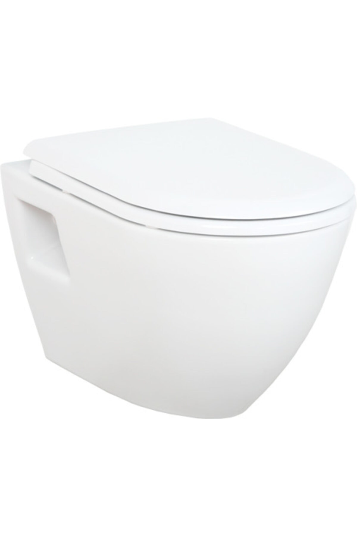 Tp325 Asma Klozet Kapak Dahil