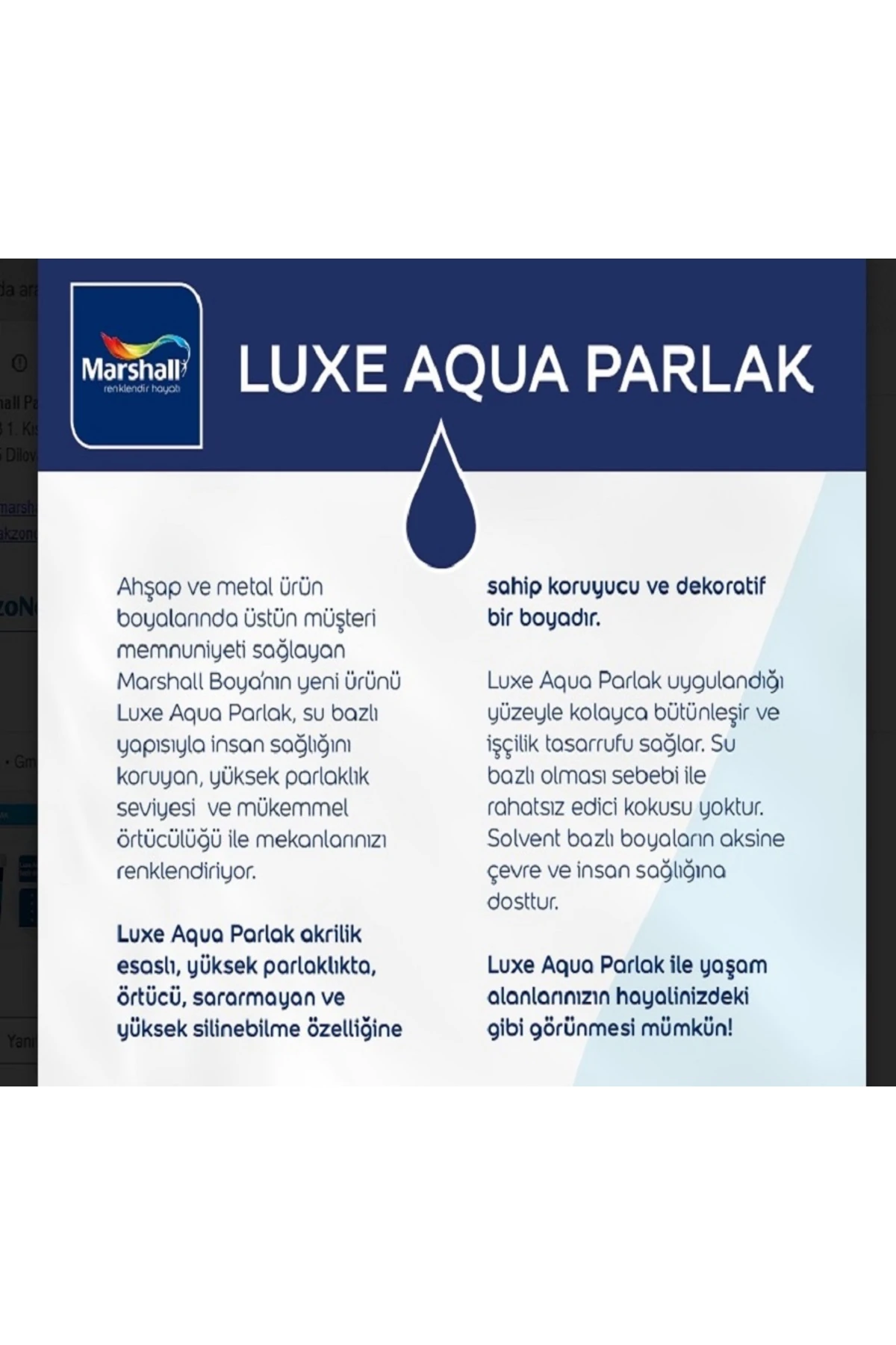 Aqua Luxe Su Bazlı Parlak Akrilik Esaslı Dekoratif Boya - Defne Yaprağı 2.5 Lt