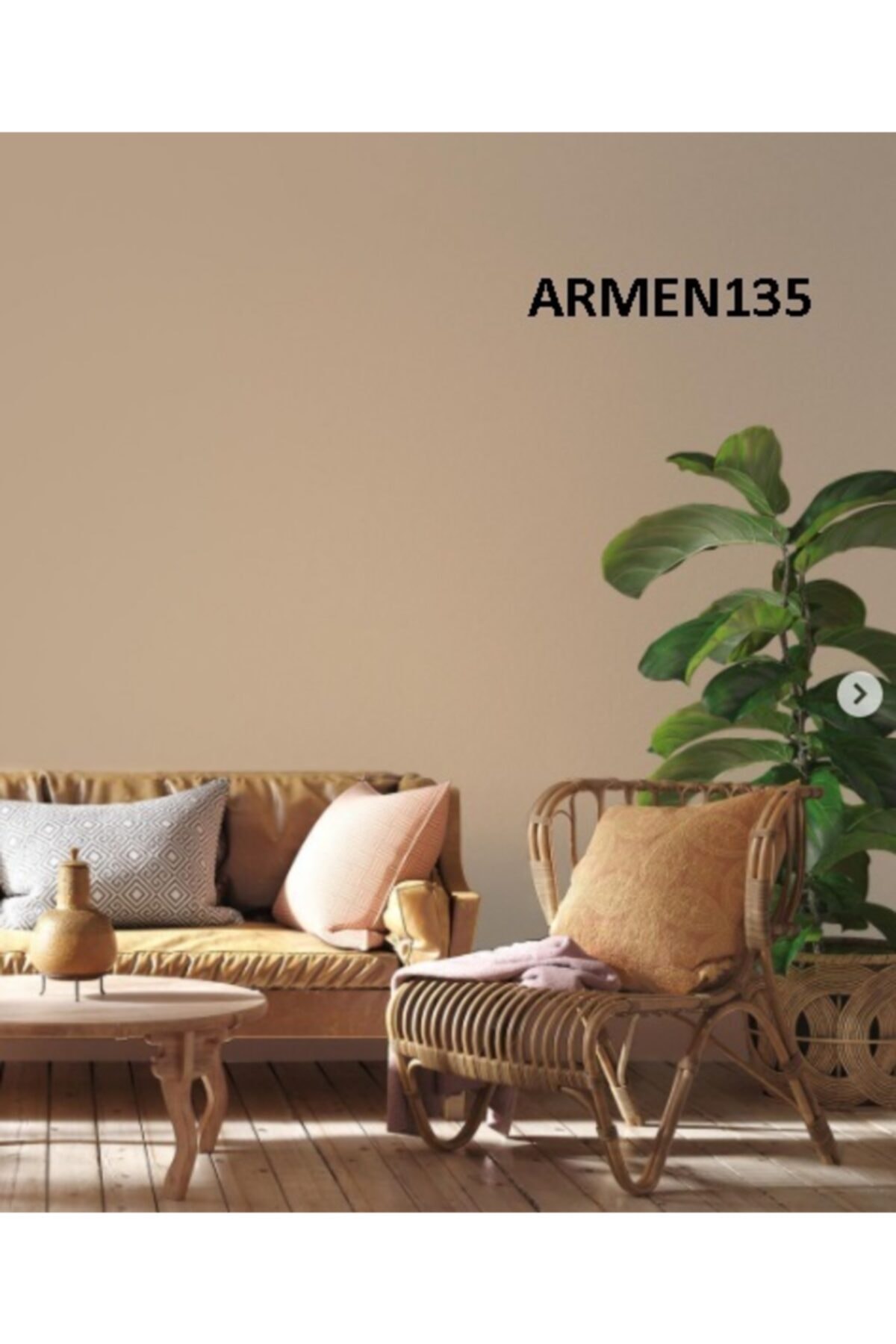 Exxen Mat 2.5lt Renk: Armen135 Silikonlu Silinebilir Iç Cephe Boyası