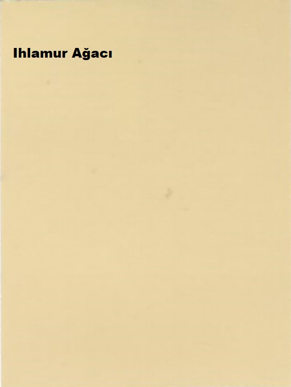 Maximum Silikonlu İpek Mat Ihlamur Ağacı 7,5 lt. (10 kg)