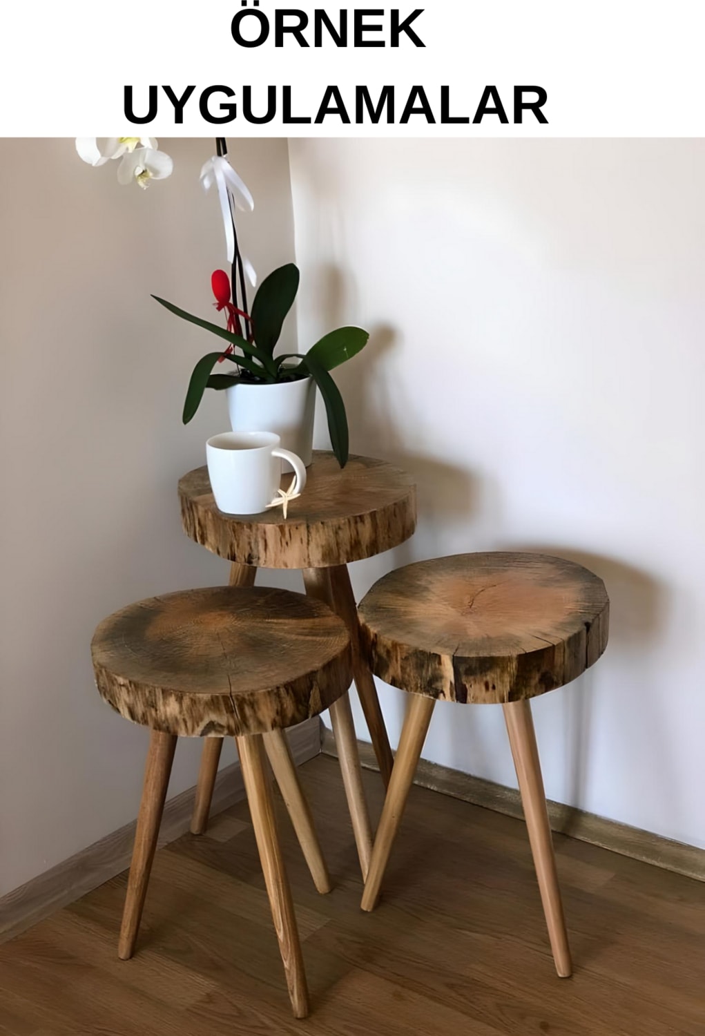 16'lı Konik Lüks Ahşap Ayak, Masa Ayağı, Sehpa Ayağı, Açılı Parat ve Vidalar 46 cm