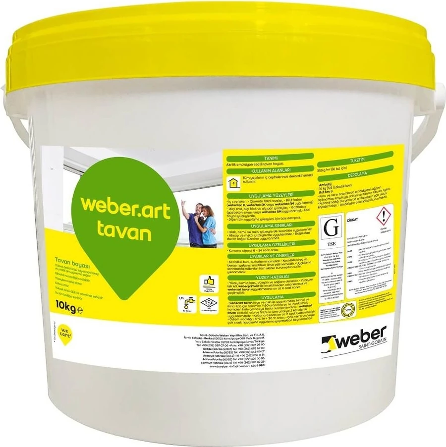 Art Tavan Boya 10 kg