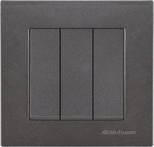 Füme Renk Üçlü Anahtar