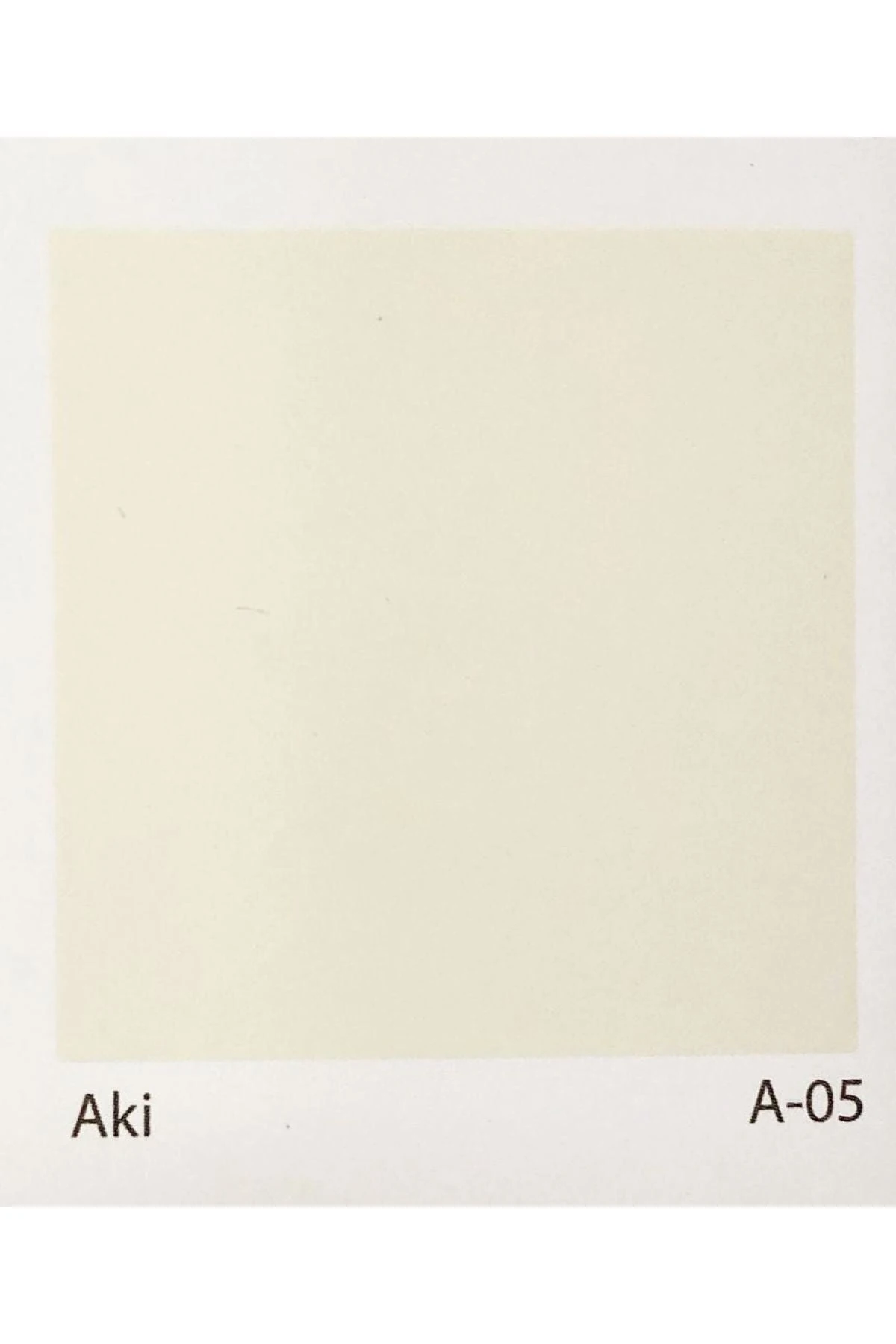 Momento Silikonlu Iç Cephe Boyası 15 Lt Aki