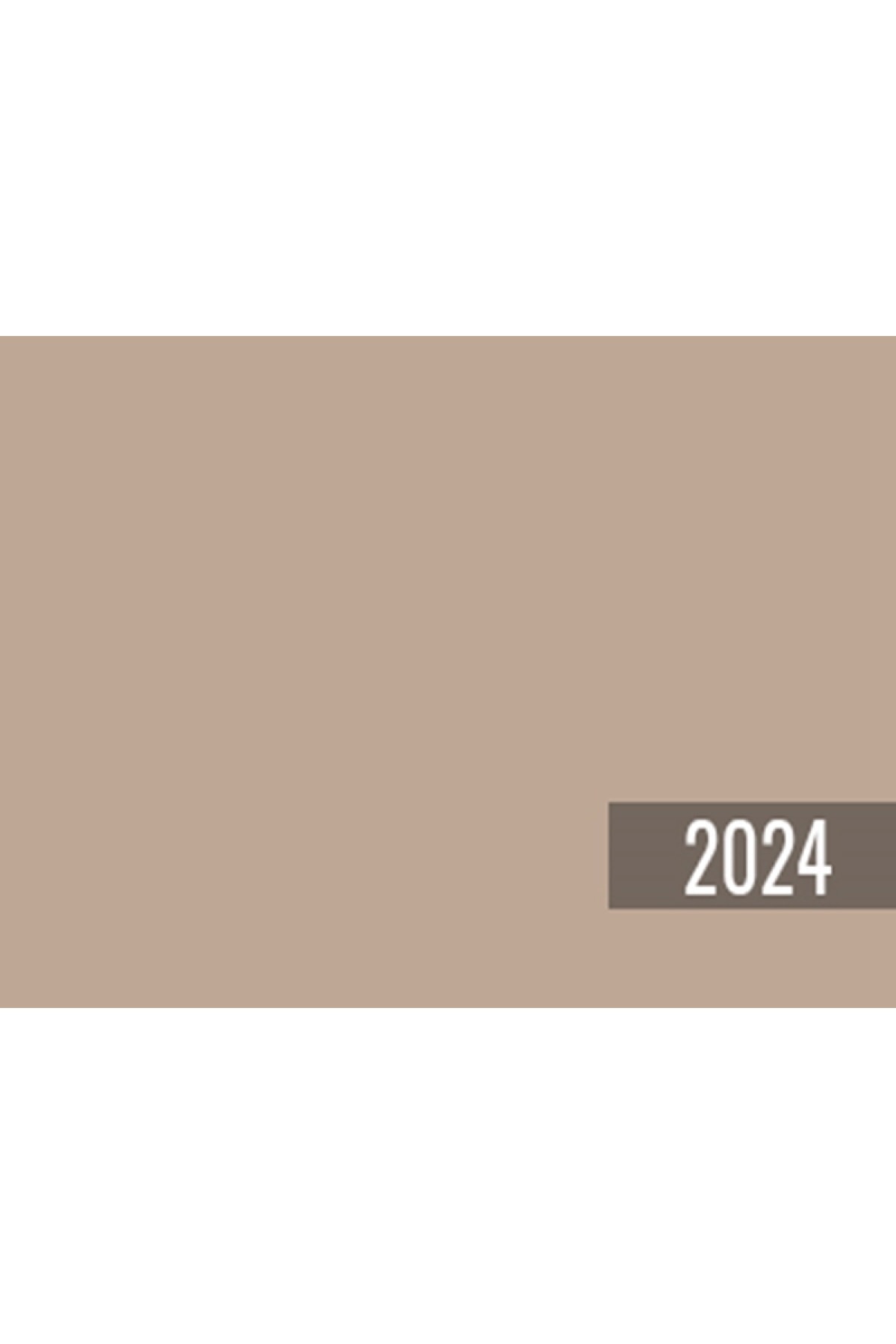 JOTUN Senses 2024 Fenomastic Güzel Evim Serisi Saf Ipek 1lt