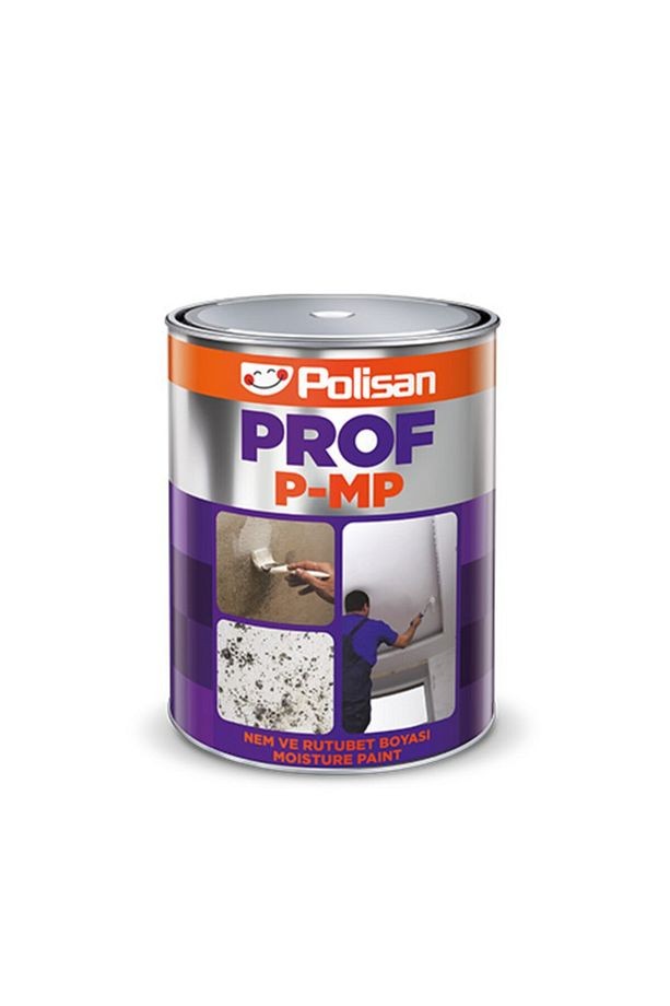 Prof P-mp Nem Ve Rutubet Boyası 1 Kilogram