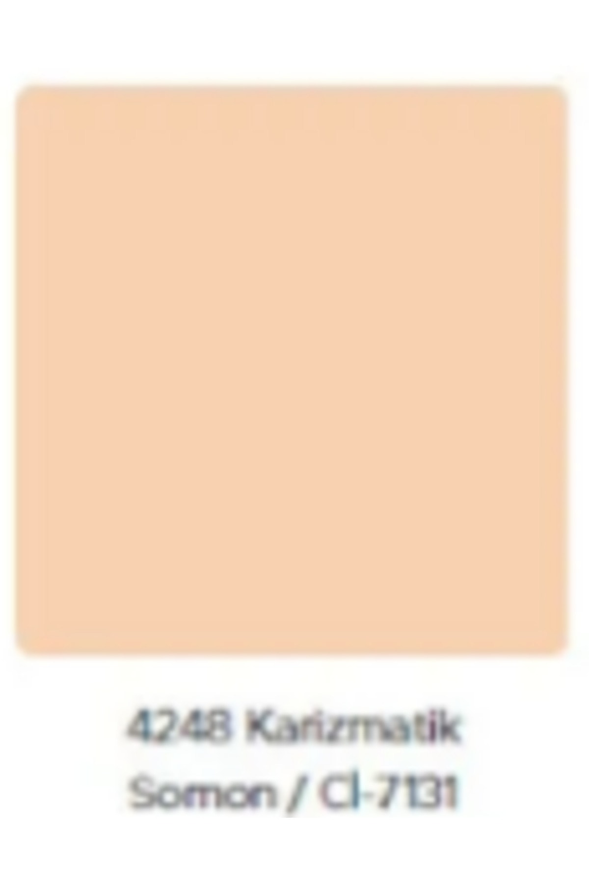 Popüler Ekonomik Fiyatlı İç Cephe Duvar ve Tavan Boyası 3.5 Kg Karizmatik Somon