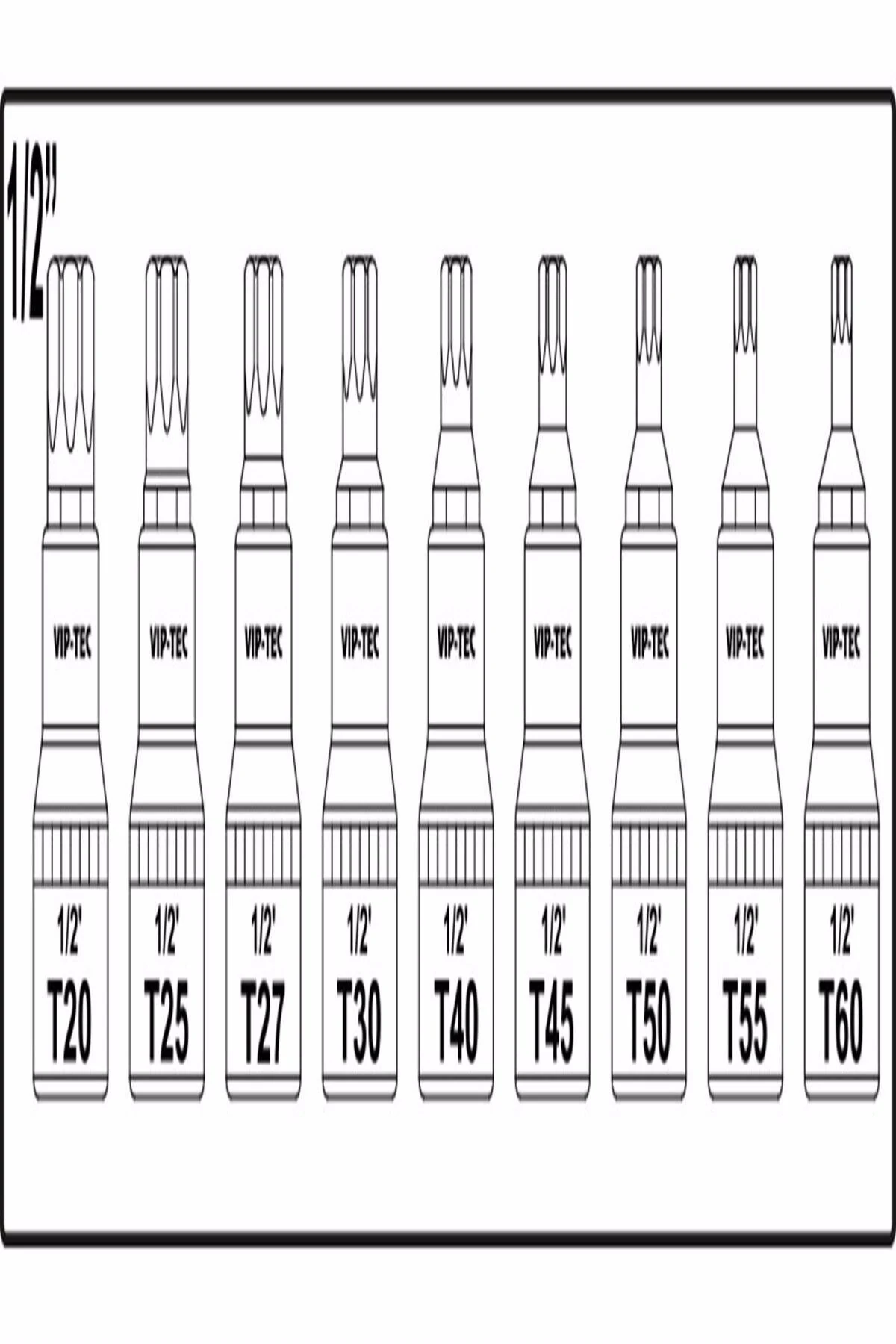 Lokmalı Torx Uç Takımı 1/2 Inç 9 Parça (VT118900) - Vt118900
