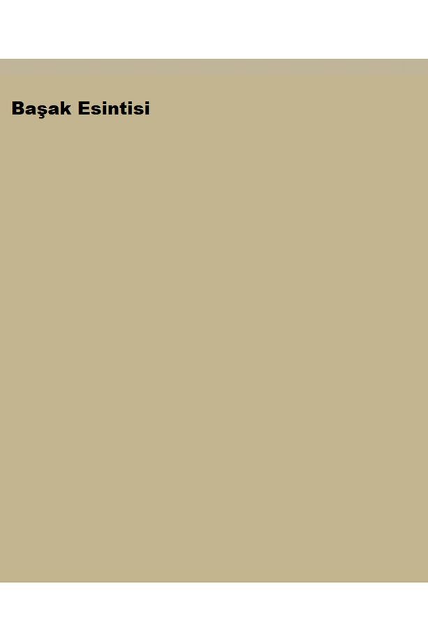 Plastik Mat Iç Cephe Boyası Başak Esintisi 15 Lt (20 KG)