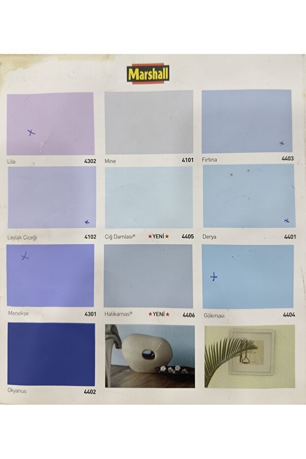 EXPORT boya (leylak çiçeği)