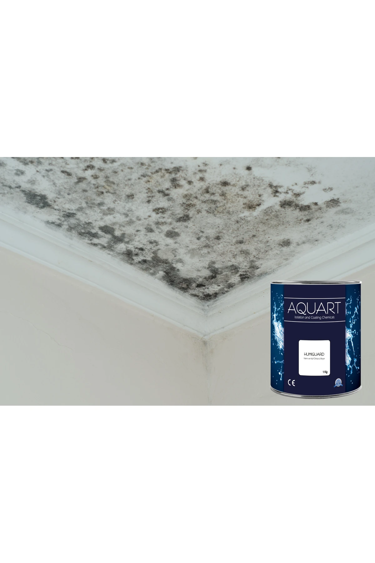 HUMIGUARD NEM RUTUBET KÜF BOYASI 3kg