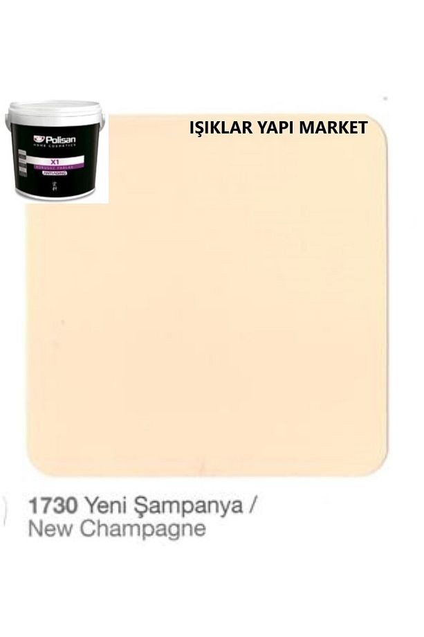Ahşap ve Metal Boyası X1 Su Bazlı AntiAging Kokusuz Parlak 2,5Litre(3kg.)