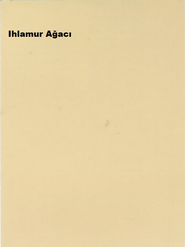 Maximum Mat Silikonlu Ihlamur Ağacı 15 Lt. (20 Kg)