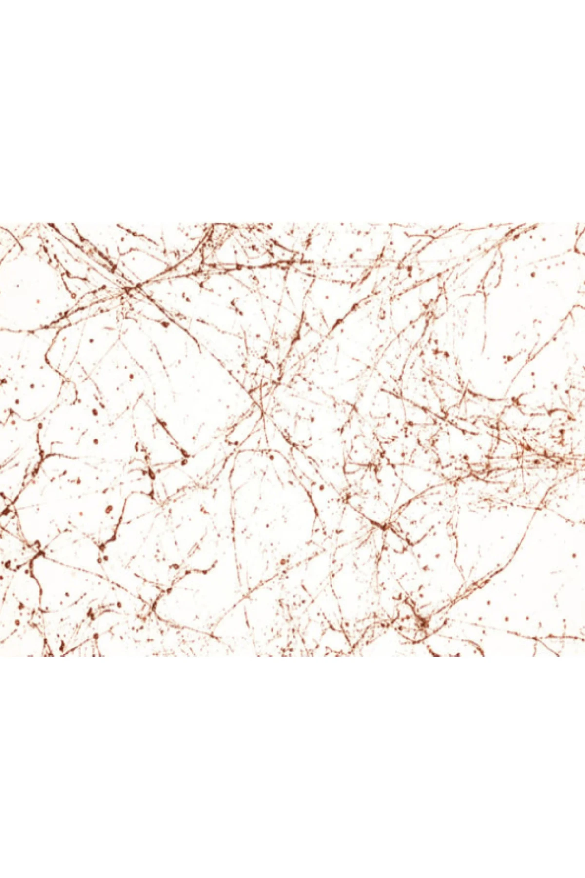 Stella Mutfak Dolabı Ve Tezgah Boyama Seti