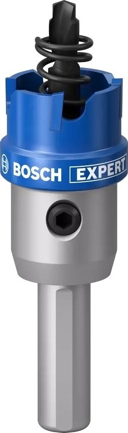 BOSCH Expert Tct Elmas Uçlu Panç 18 mm
