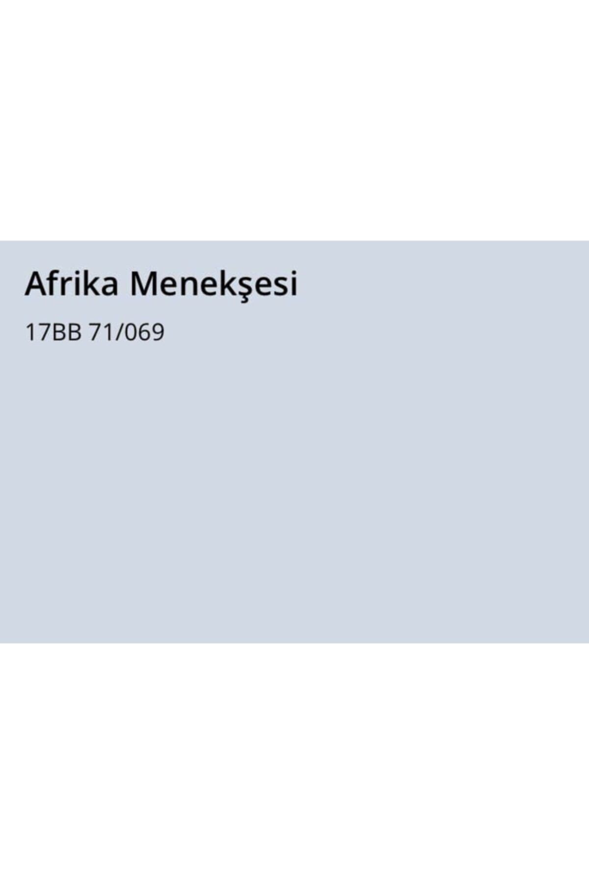 Fit Silikonlu Ipek Mat Afrika Menekşesi 3,5 Kg