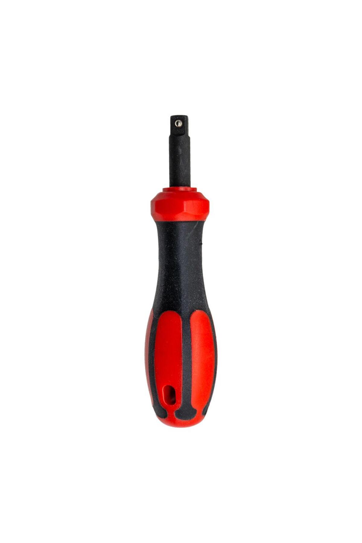 CETA FORM C01-20S 1/4" Lokma Tornavida 2.5 cm