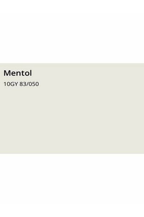 Silikonlu Özel Mat Mentol 15 Lt (20 Kg)