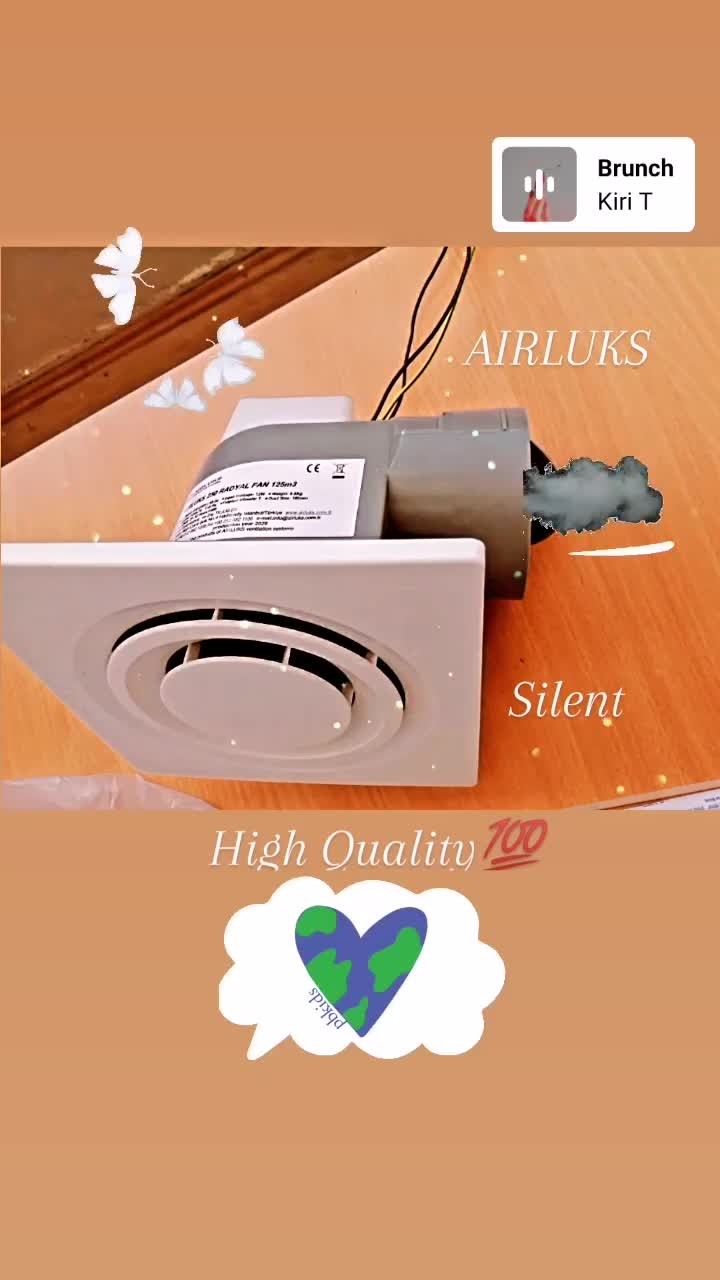 250 Radyal 180 M3 Sessiz Tavan Tipi Banyo Fanı