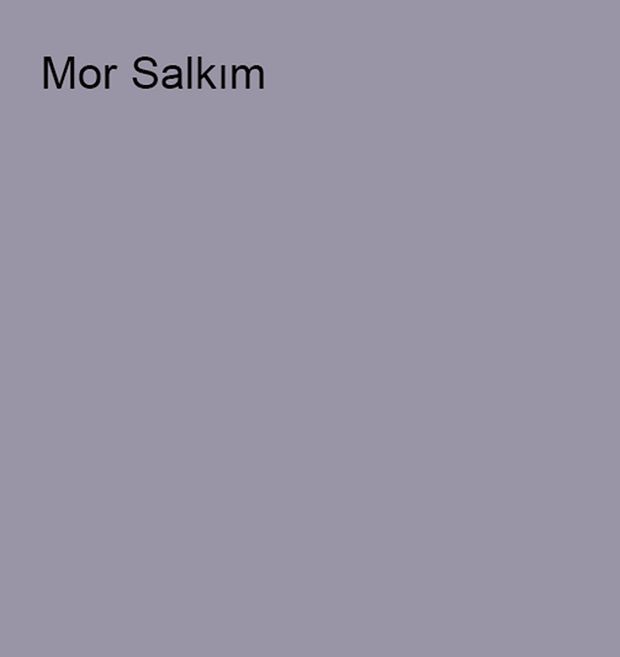 Pastel Yarı Mat Boyası Mor Salkım 2,5 Lt (3,5 LT)