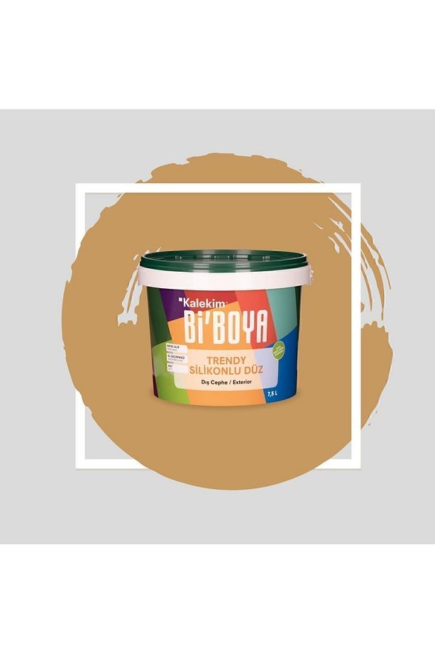 Silikonlu Dış Cephe Boyası 2.5 Lt 4105