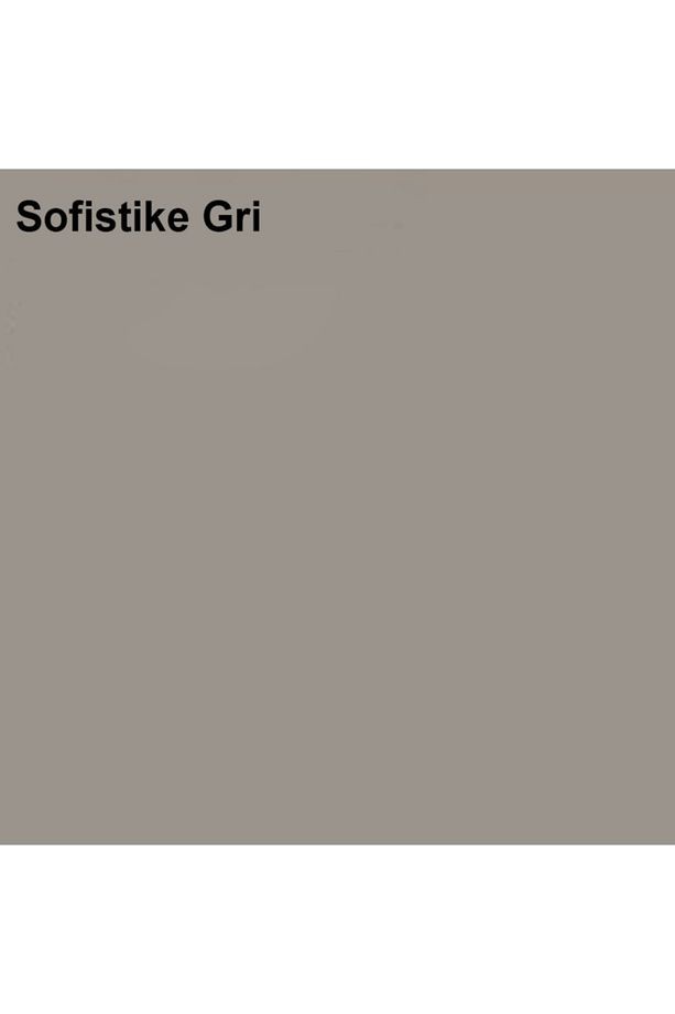 Maximum Silikonlu Ipek Mat Sofistike Gri 15 Lt. (20 Kg)