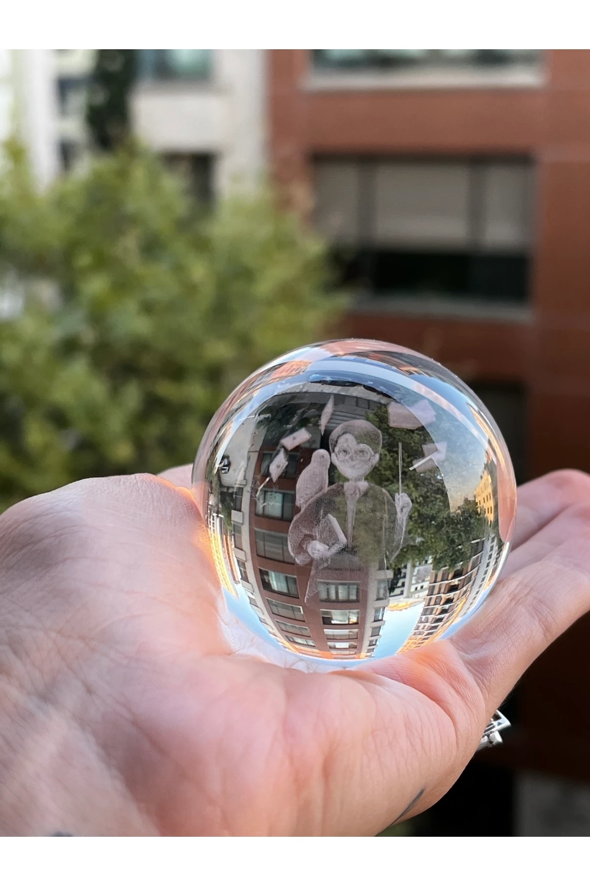 Harry Potter Baykuşlu Işıklı Cam Küre (prizli Gece Lambası Aydınlatma Dekoratif Model)