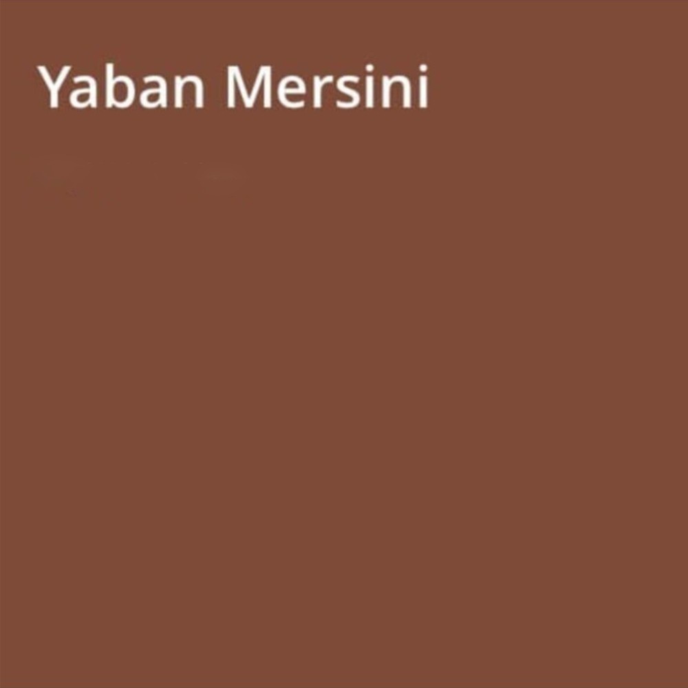 Silikonlu Özel Mat Yaban Mersini 15 Lt (20 Kg)