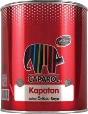 Leke Örtücü Boya Kapatan 0.75LT