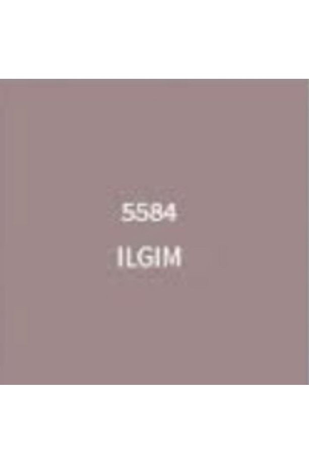 Silikonlu Dış Cephe Boyası 2,5 lt Ilgım