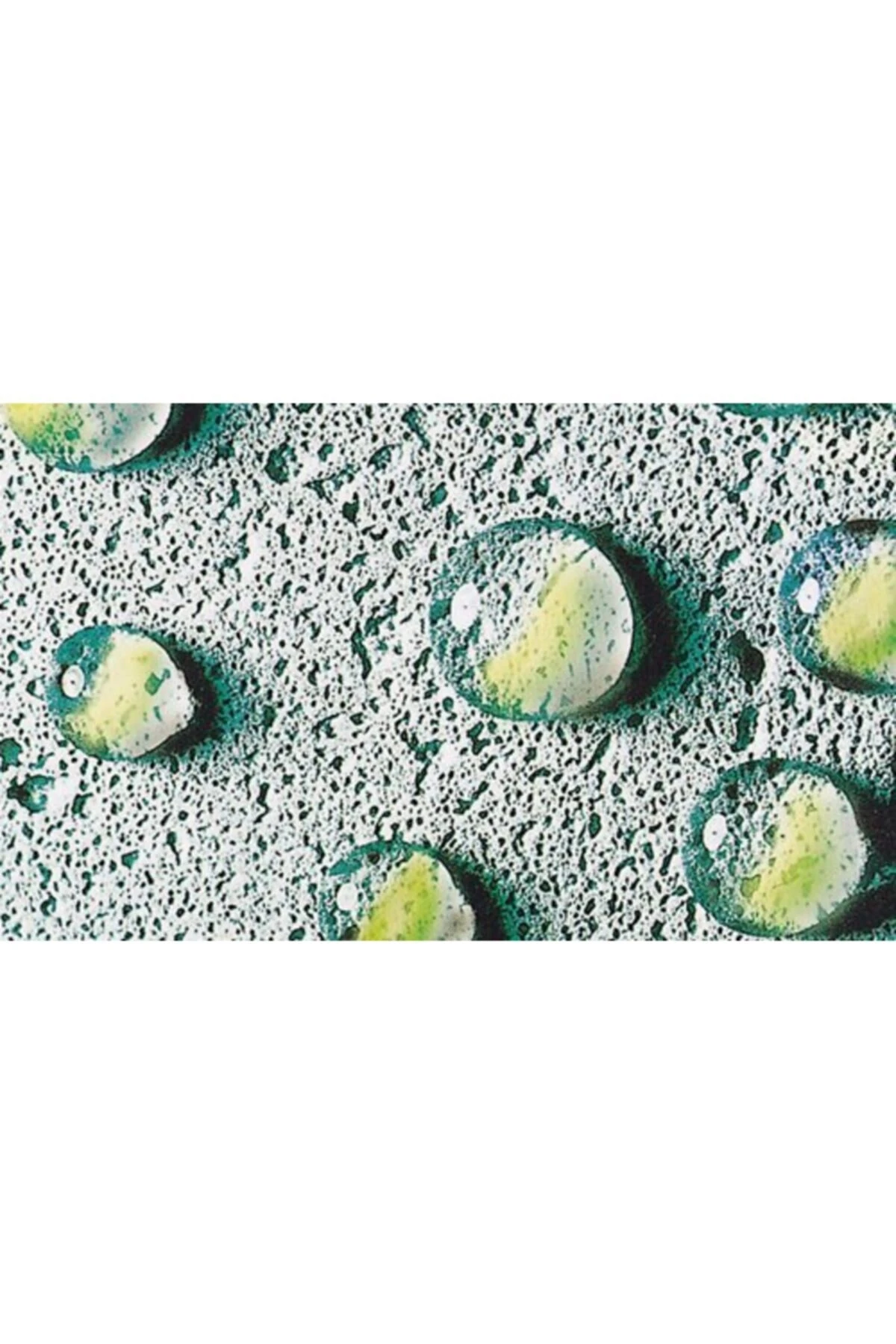 Siloxan Siloksan 5 Lt Dış Cephe Şeffaf Izolasyon