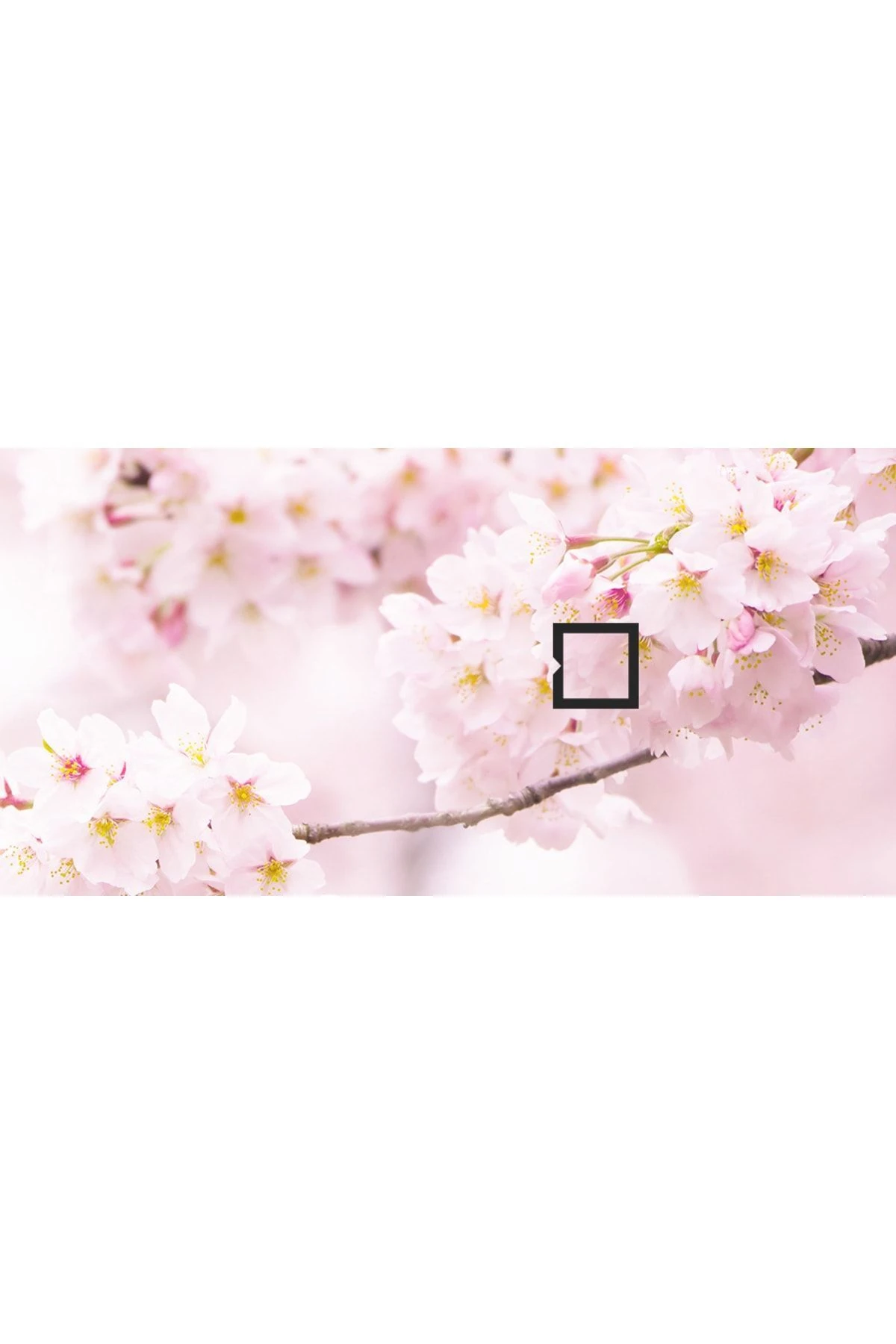 Filli Momento Silan Silinebilir Ipeksi Mat Içcephe Duvar Boyası 2.5ltmasal135