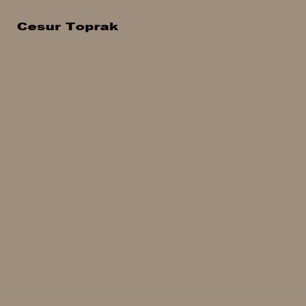 Sil-Pak Cesur Toprak 7,5 Lt (10 Kg)