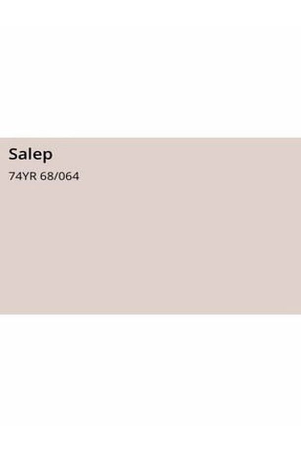 Silikonlu Ipek Mat Iç Cephe Boyası Salep 7,5 Lt. (10 Kg)