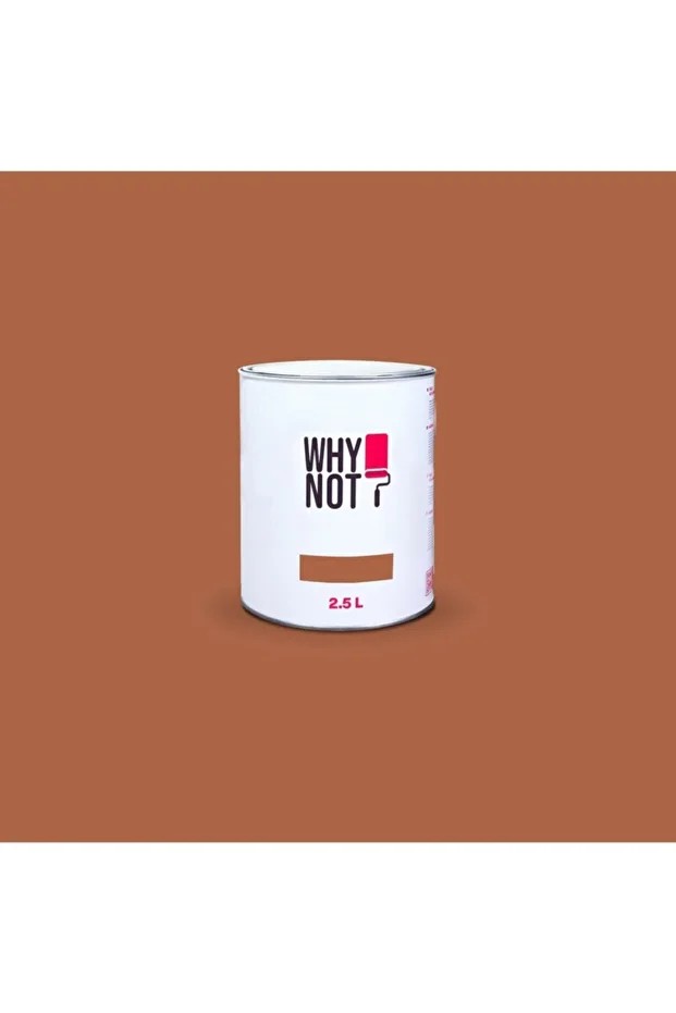 Whynot? Duvar Boyası Warm Terracotta