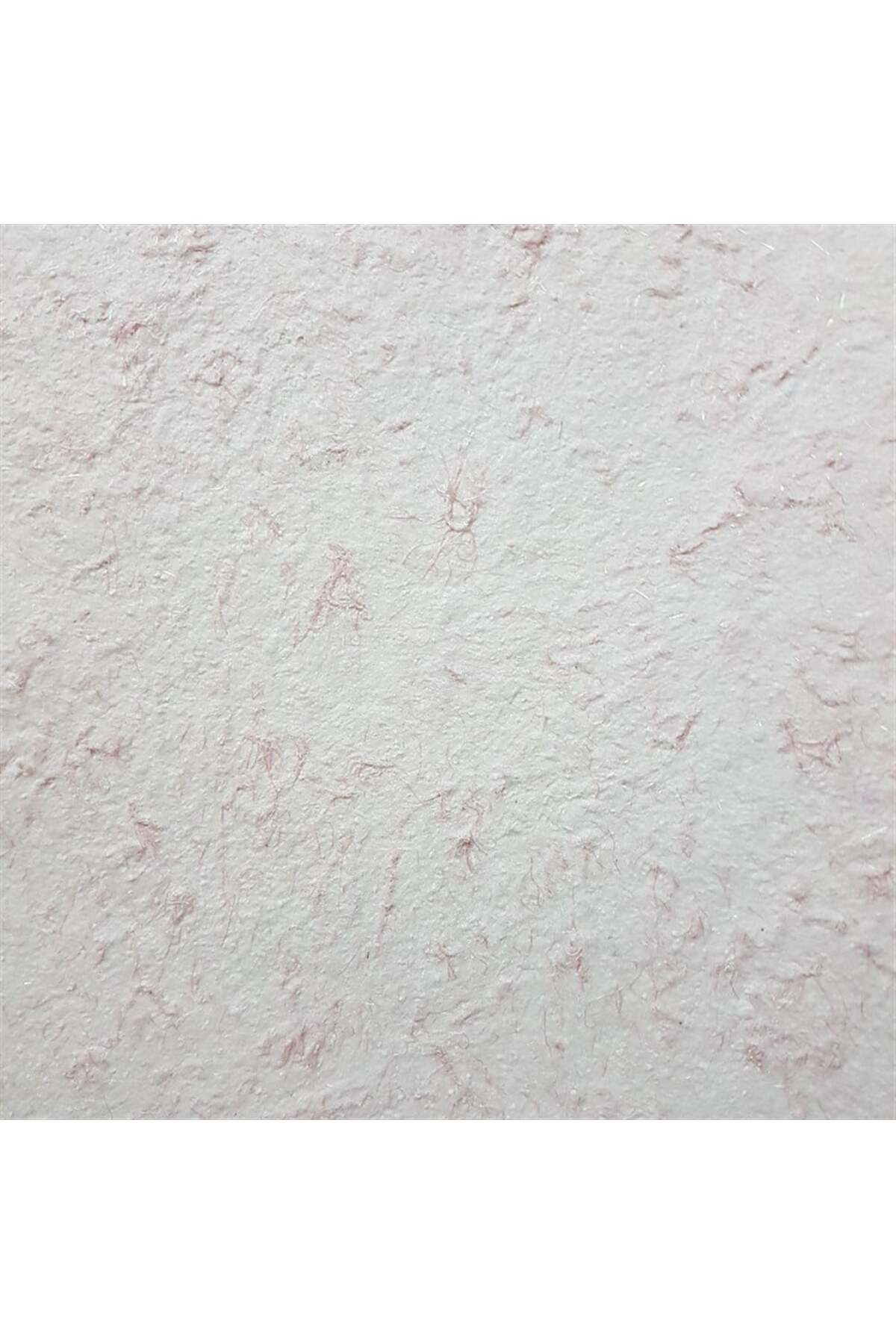 Canlı Dekorasyon Ve Yalıtım Sıvası Minsk 2015