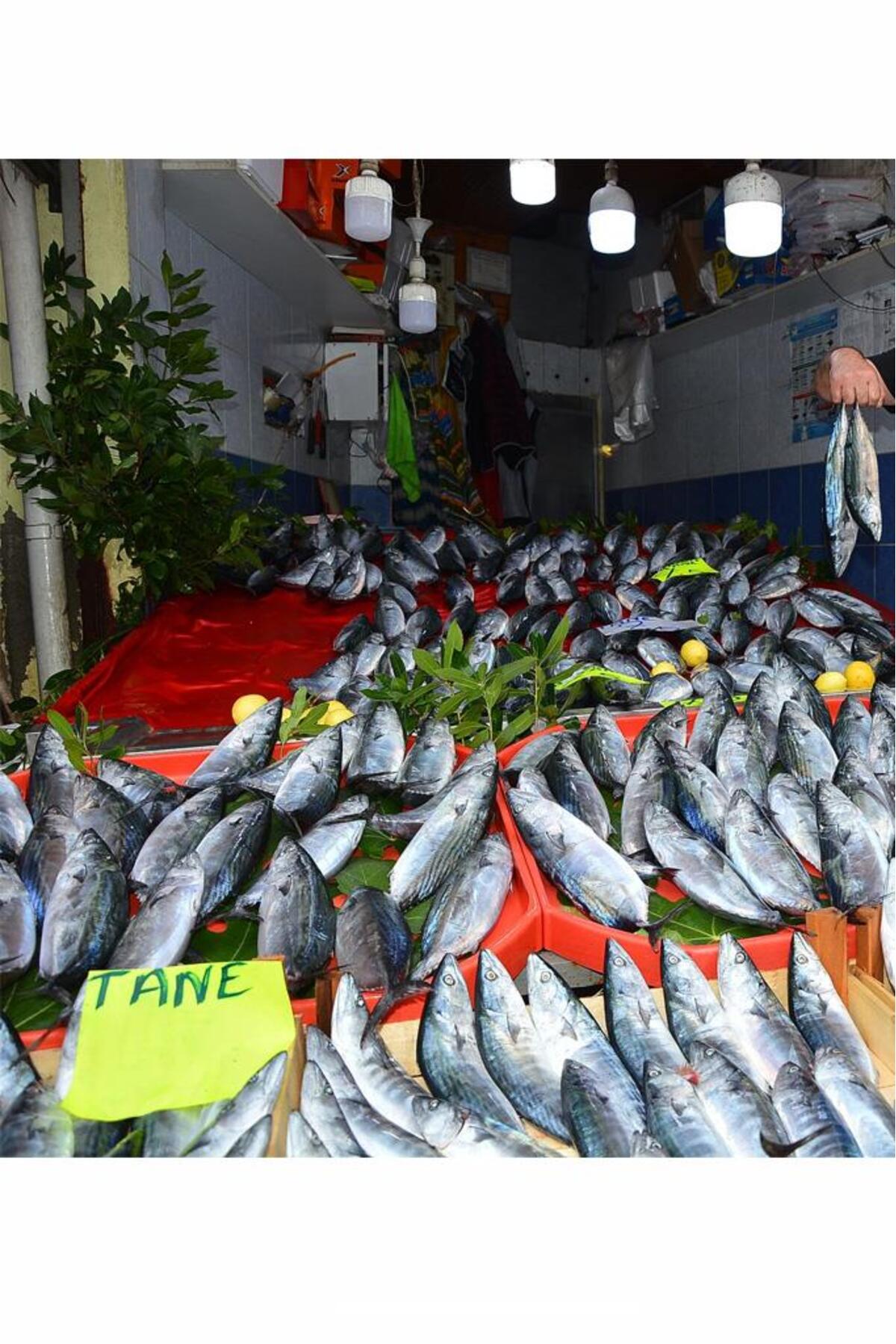 27w (152W) Büyük Boy Torch Led Ampul Beyaz Jumbo Lamba 865 17,5 Cm