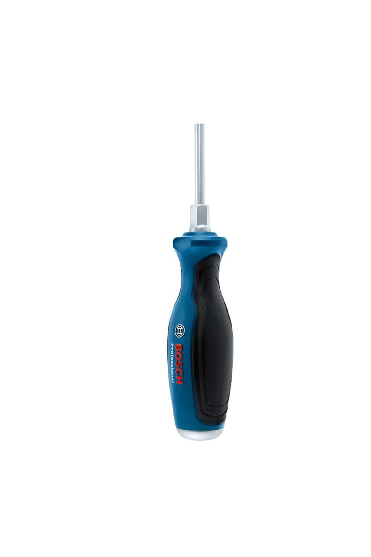 Profesyonel Tornavida SL5.5x100 mm 1600A01TG0