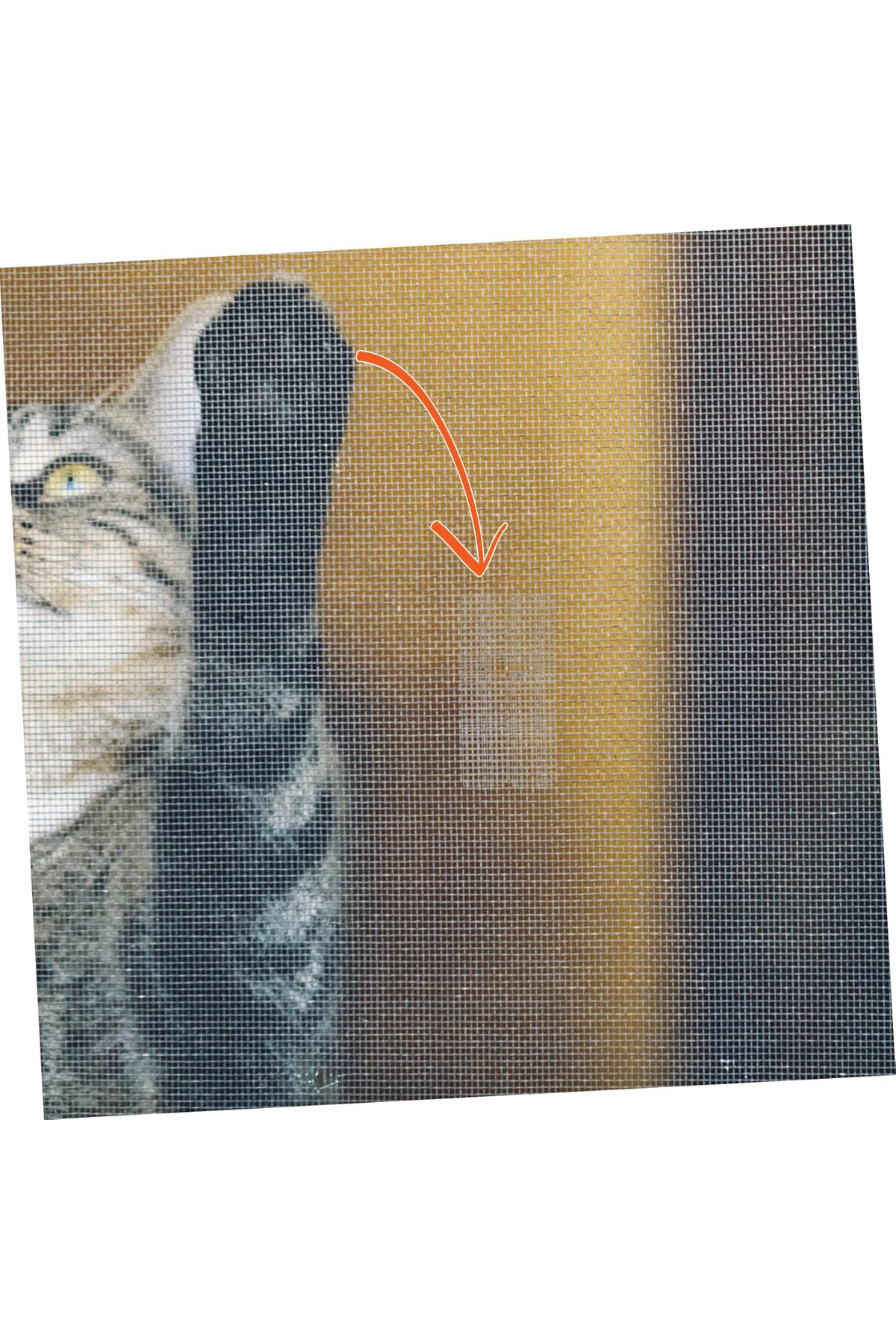 Yapışkanlı Sineklik Pencere Kapı Tülü Tamir Bandı 5cm X 300 Cm. Rulo