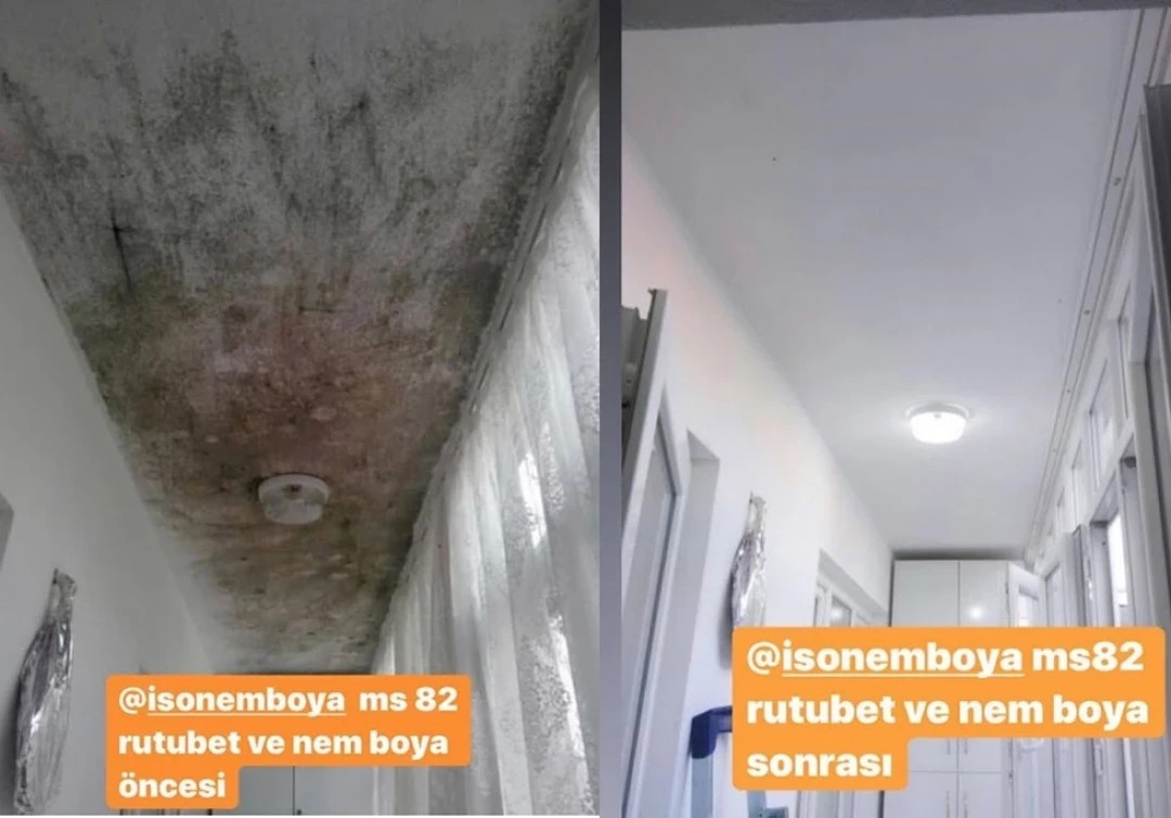 Isonem Ms 82 Nem Ve Rutubet Boyası Beyaz 1 Lt