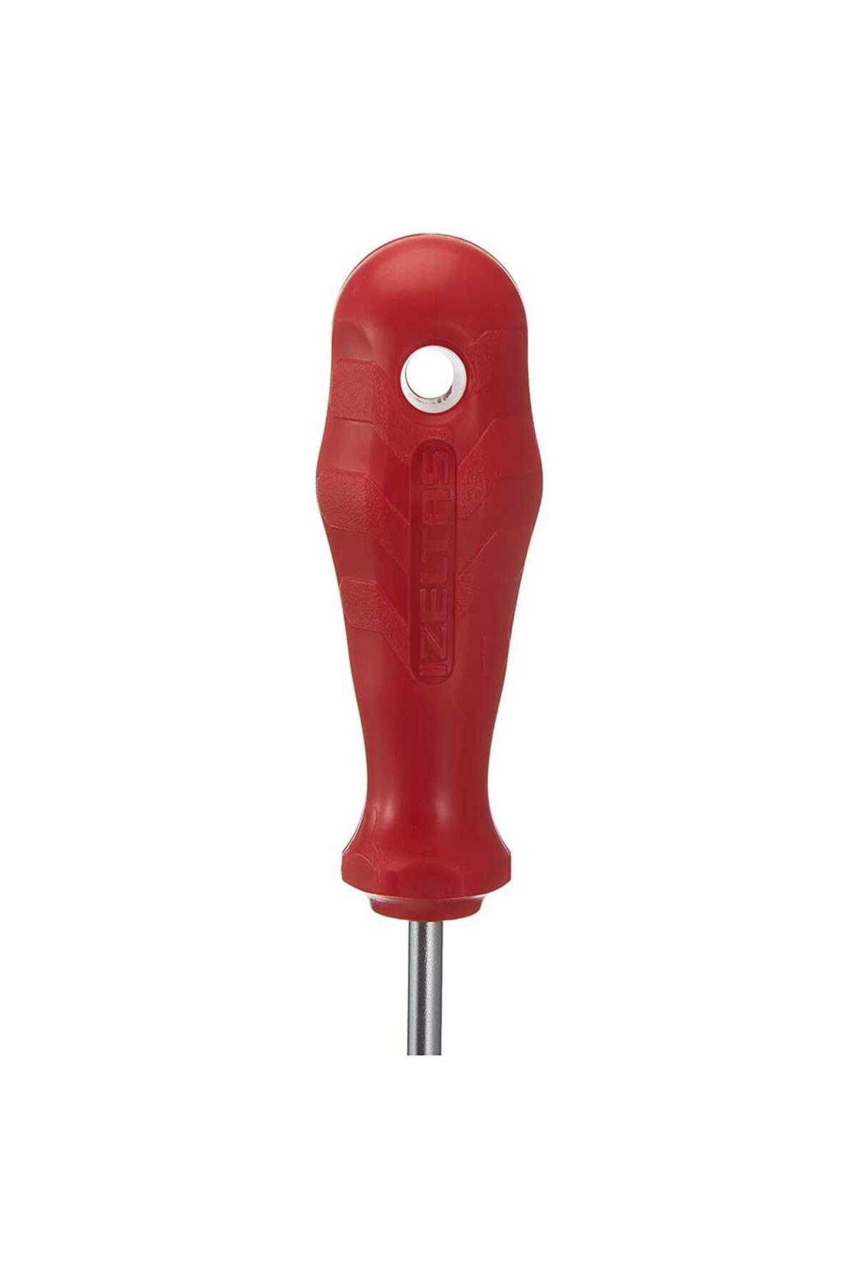 4776180010 Tornavida Delikli Torx Tr10