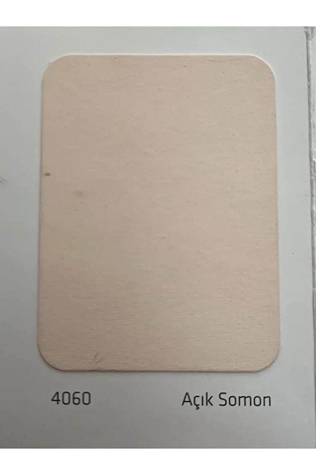 SİLİKONLU DIŞ CEPHE BOYASI 2,5LT-AÇIK SOMON