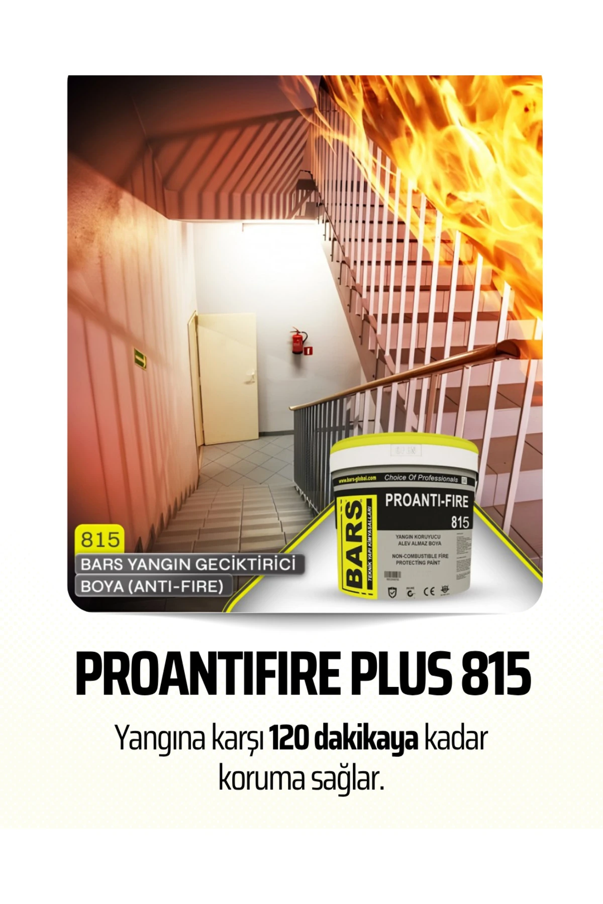 PROANTIFIRE Plus 815 Yangın Geciktirici Boya – Ahşap, Beton, Çelik İçin Alevle Şişen Kaplama