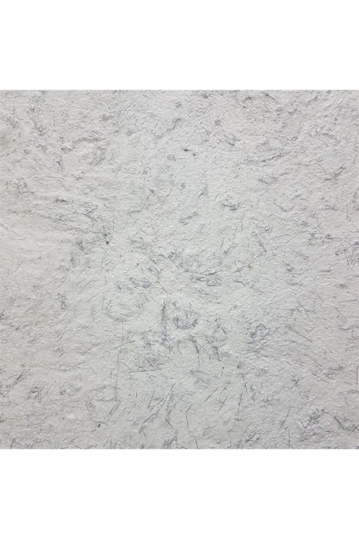 Canlı Dekorasyon Ve Yalıtım Sıvası Minsk 2011