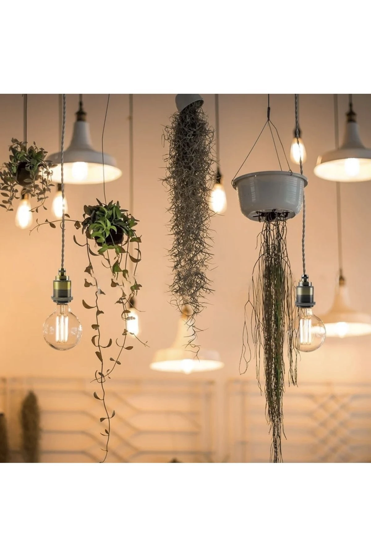 Jüt Halat Sarkıt Avize Anahtarlı Duy 3metre Bakır Rengi ( AMPUL DAHİL)