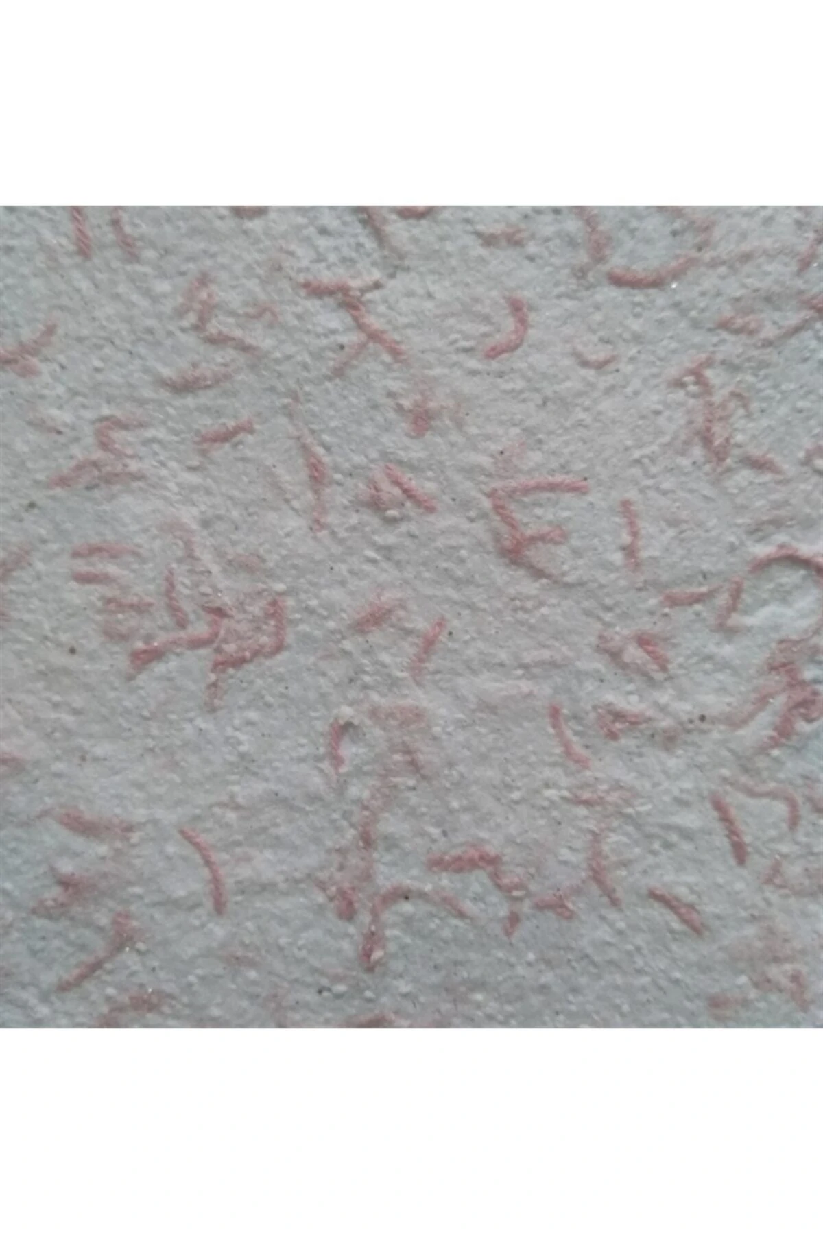 Canlı Dekorasyon Ve Yalıtım Sıvası Istanbul 3003