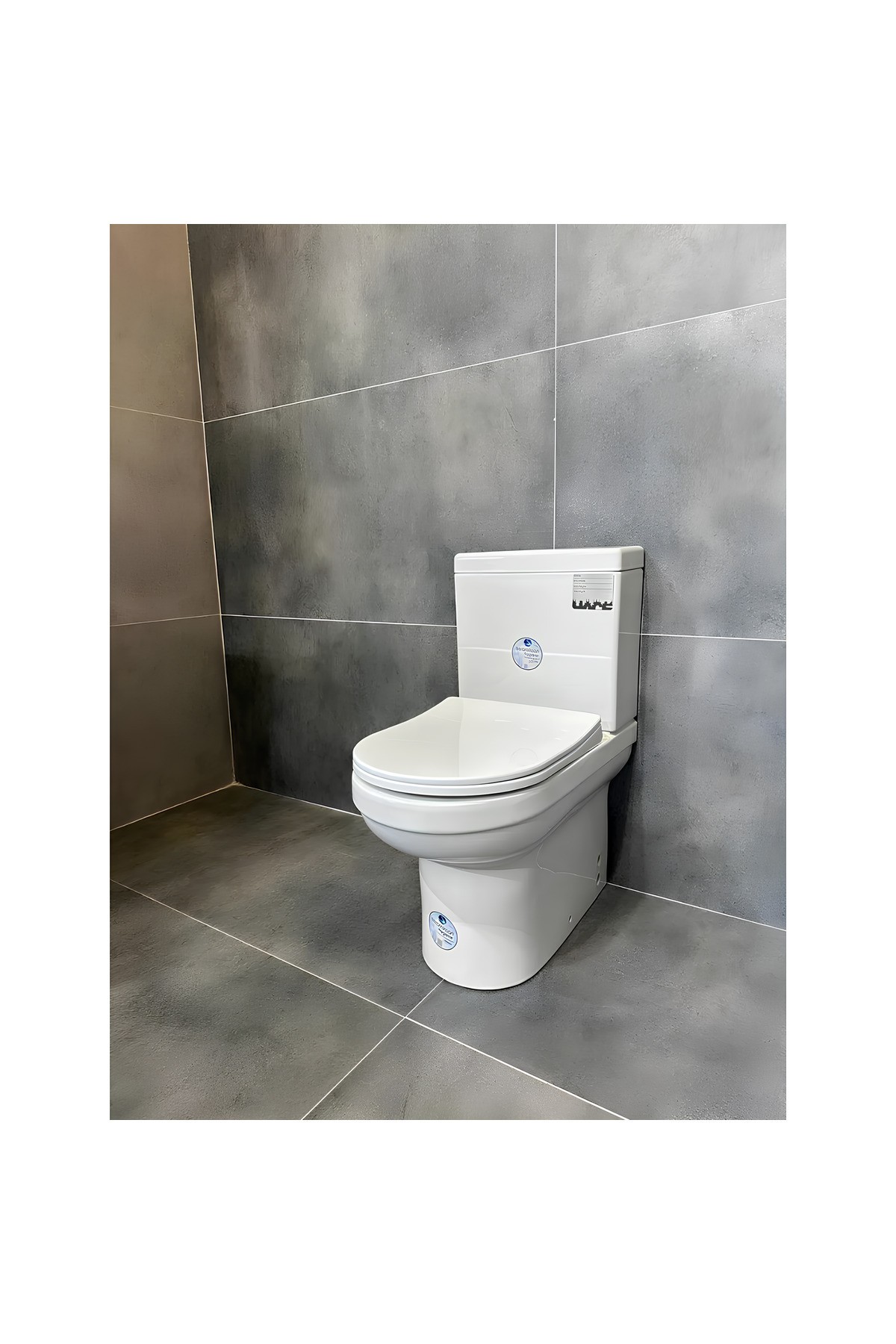 Neon Kanalsız Duvara Sıfır Klozet Takım A151111h