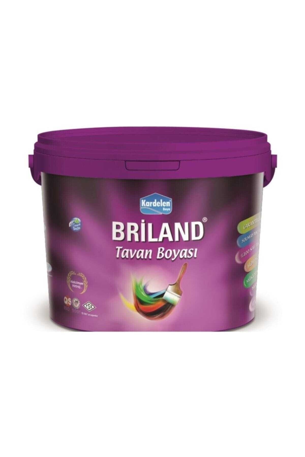Briland Tavan 18 kg